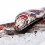 Lystfiskerne bliver færre og færre – Men er det den perfekte hobby for den moderne dansker?